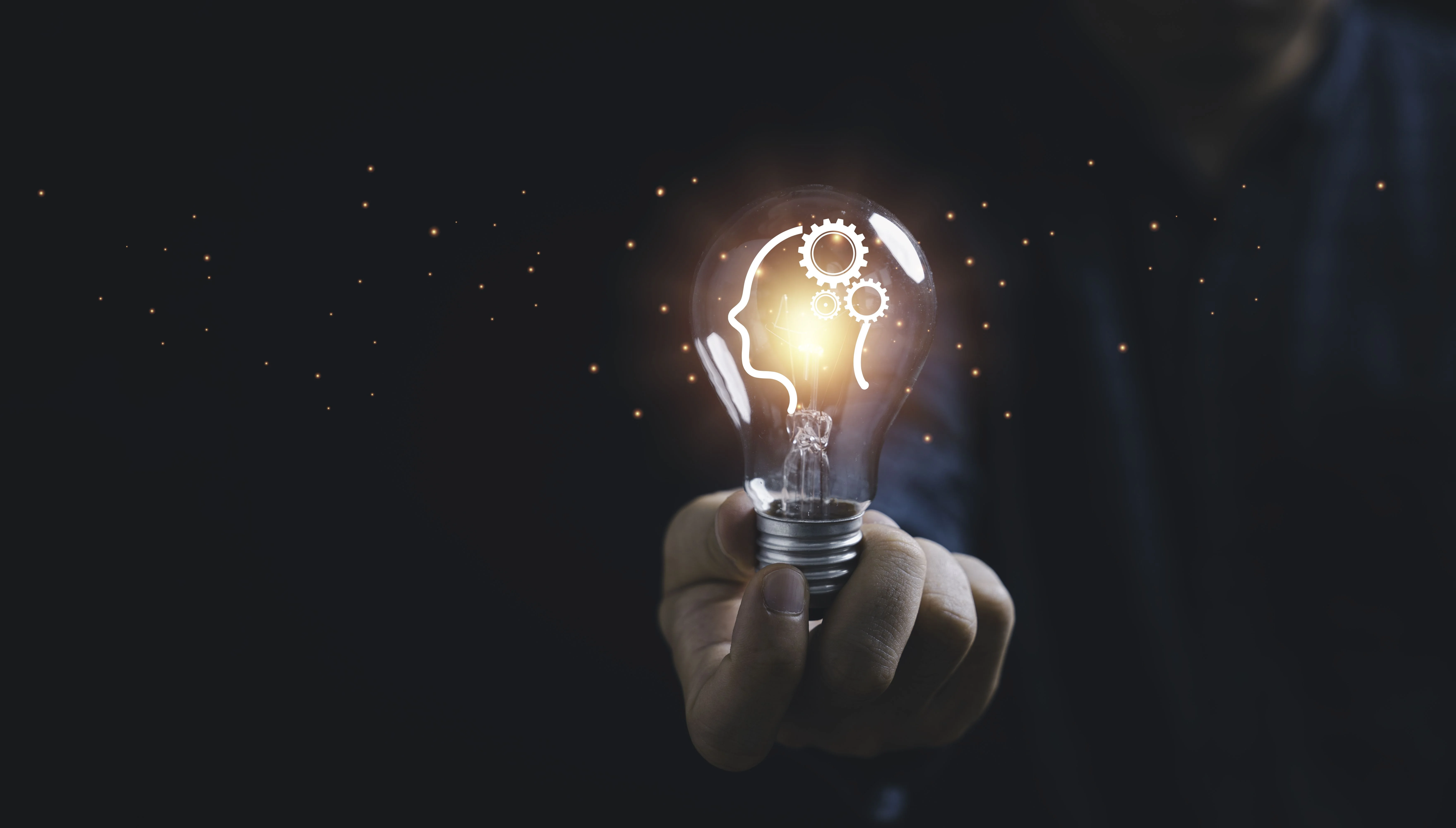 Innovation and business insights